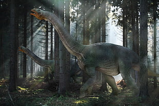 gray brontosaurus near black trees HD wallpaper